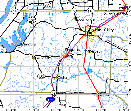 Troy, TN map