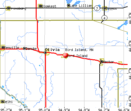 Bird Island, MN map