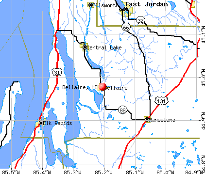 Bellaire, MI map