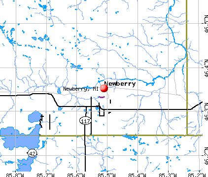 Newberry, MI map