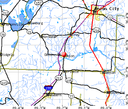 Obion, TN map