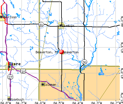 Beaverton, MI map