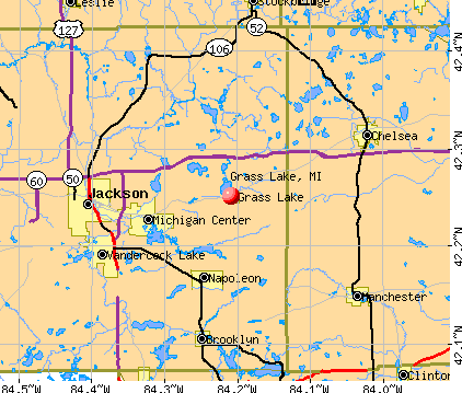 Grass Lake, MI map