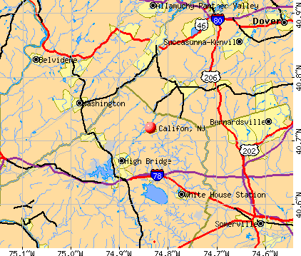 Califon, NJ map
