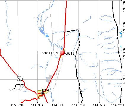 McGill, NV map