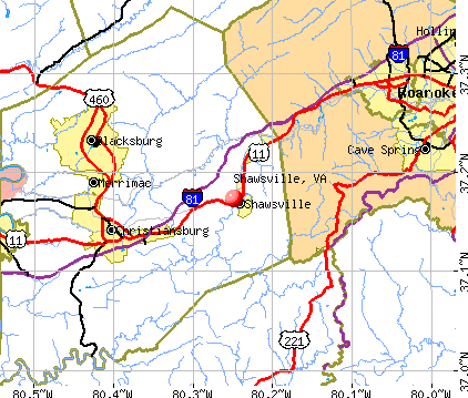 Shawsville, VA map
