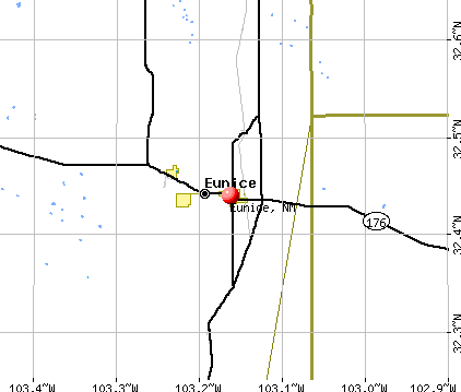 Eunice, NM map
