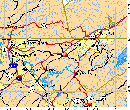 Blountville, TN map