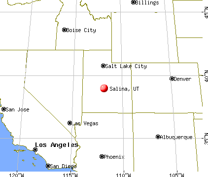 Salina, Utah map