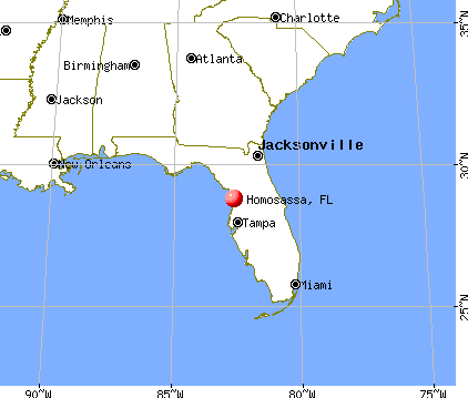 Homosassa, Florida map