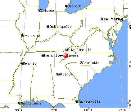 White Pine, Tennessee map