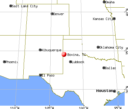 Bovina, Texas map