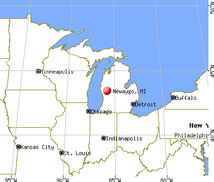 Newaygo, Michigan map