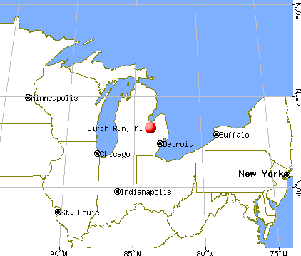 Birch Run, Michigan map