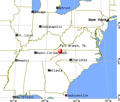 Fall Branch, Tennessee map