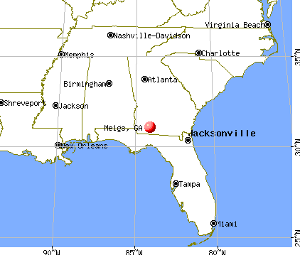 Meigs, Georgia map