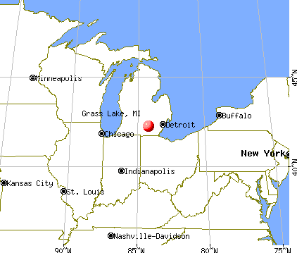 Grass Lake, Michigan map