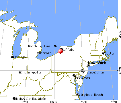 North Collins, New York map