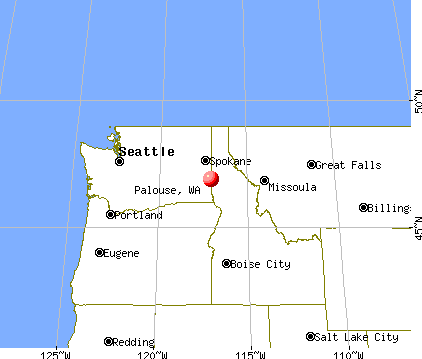 Palouse, Washington map