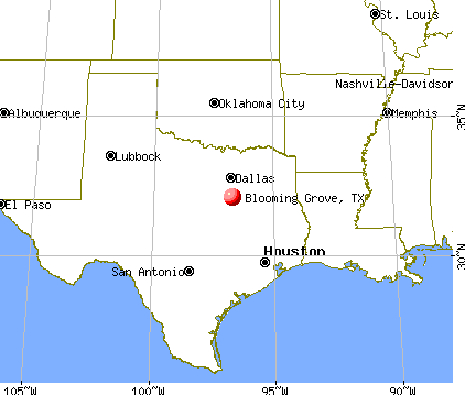 Blooming Grove, Texas map
