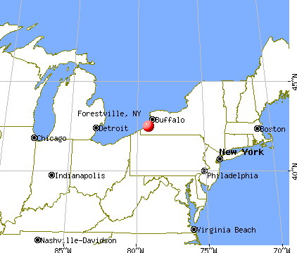 Forestville, New York map