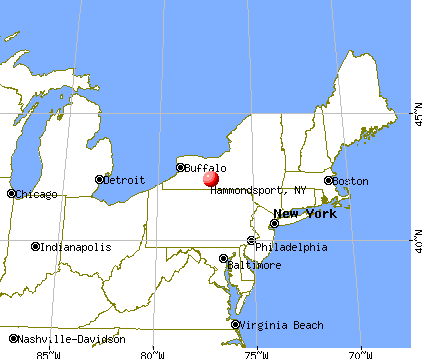 Hammondsport, New York map