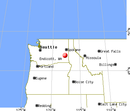 Endicott, Washington map