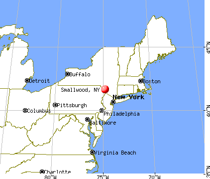 Smallwood, New York map