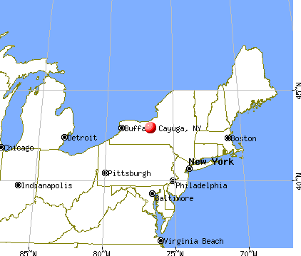 Cayuga, New York map
