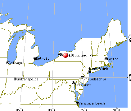 Leicester, New York map
