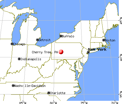 Cherry Tree, Pennsylvania map