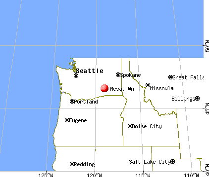 Mesa, Washington map