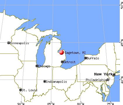 Gagetown, Michigan map