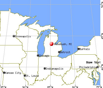 Rosebush, Michigan map
