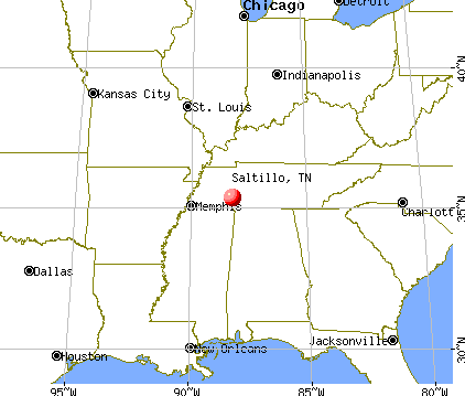 Saltillo, Tennessee map