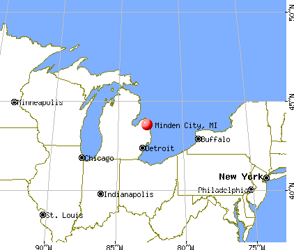 Minden City, Michigan map