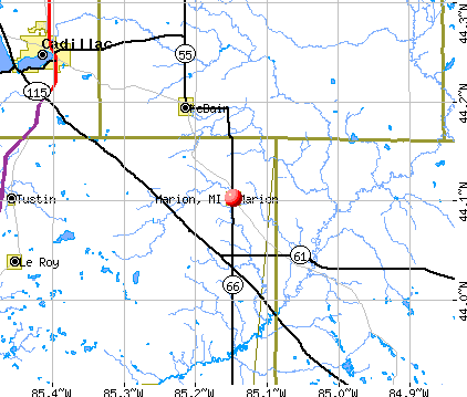 Marion, MI map