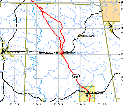 Wedowee, AL map