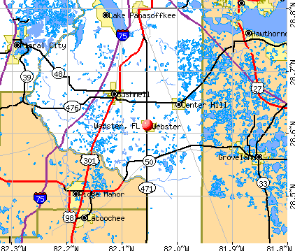 Webster, FL map