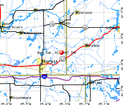 Burr Oak, MI map
