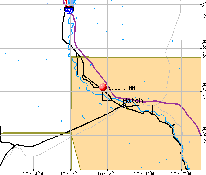 Salem, NM map