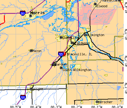 Braceville, IL map