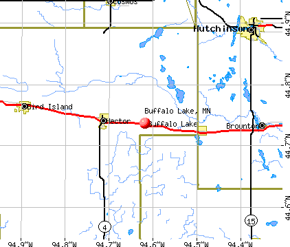 Buffalo Lake, MN map