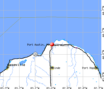 Port Austin, MI map