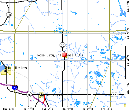 Rose City, Michigan (MI 48654) profile: population, maps, real estate