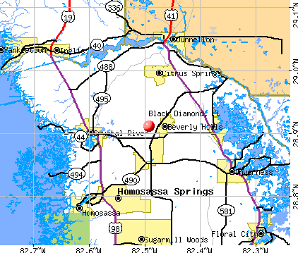 Black Diamond, FL map