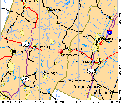 Sankertown, PA map