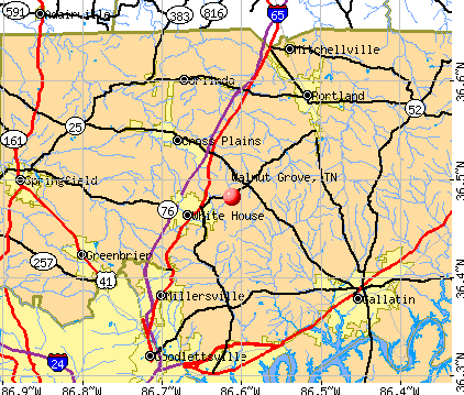 Walnut Grove, TN map