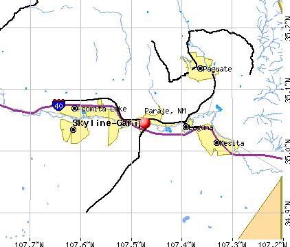 Paraje, NM map