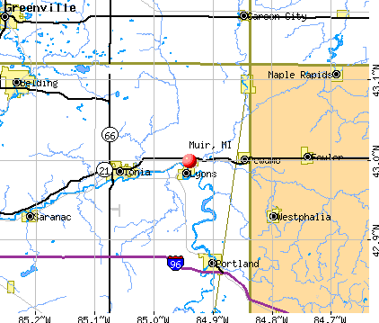 Muir, MI map